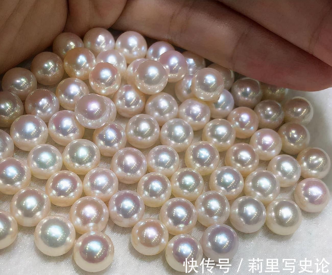 珍珠层|为什么AKOYA珍珠会这么受欢迎?