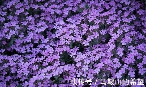 女生|7月，姻缘归来，相思情意，一见钟情，姻缘登门，相思绵长