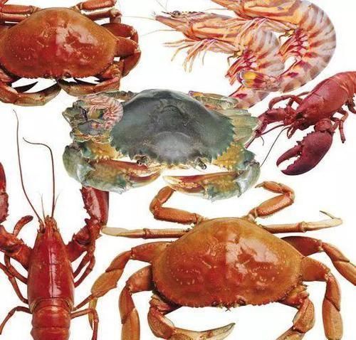 离世|3岁男孩,昏迷不醒,入院三小时后离世,医生你们不配做父母