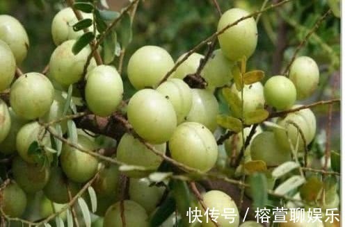 容颜|不想变大妈，3种食物轮流吃，滋补肾脏暖子宫，护你容颜不衰