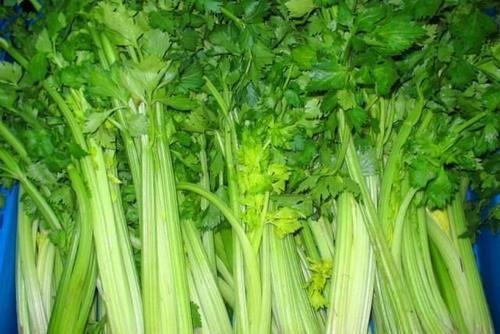 肌肤|适合女性吃的3种食物，补充营养、滋润肌肤，谁吃谁受益！