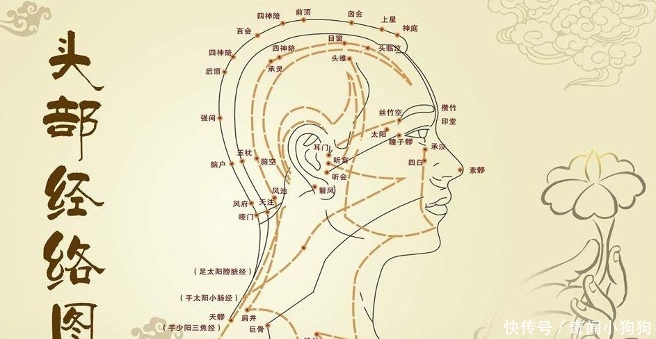 古人是如何发现经络的？