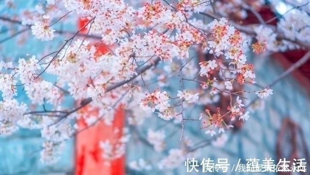 在你身边&15首最美七绝情诗,首首深情,爱你千千万万遍