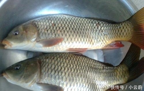 鱼贩子说漏嘴:4种最”脏“的鱼,布满细菌,别拿健康开玩笑