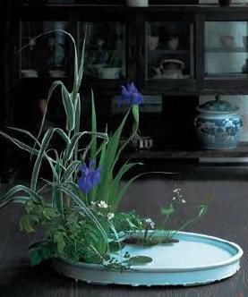  不负|折枝插瓶，不负韶华