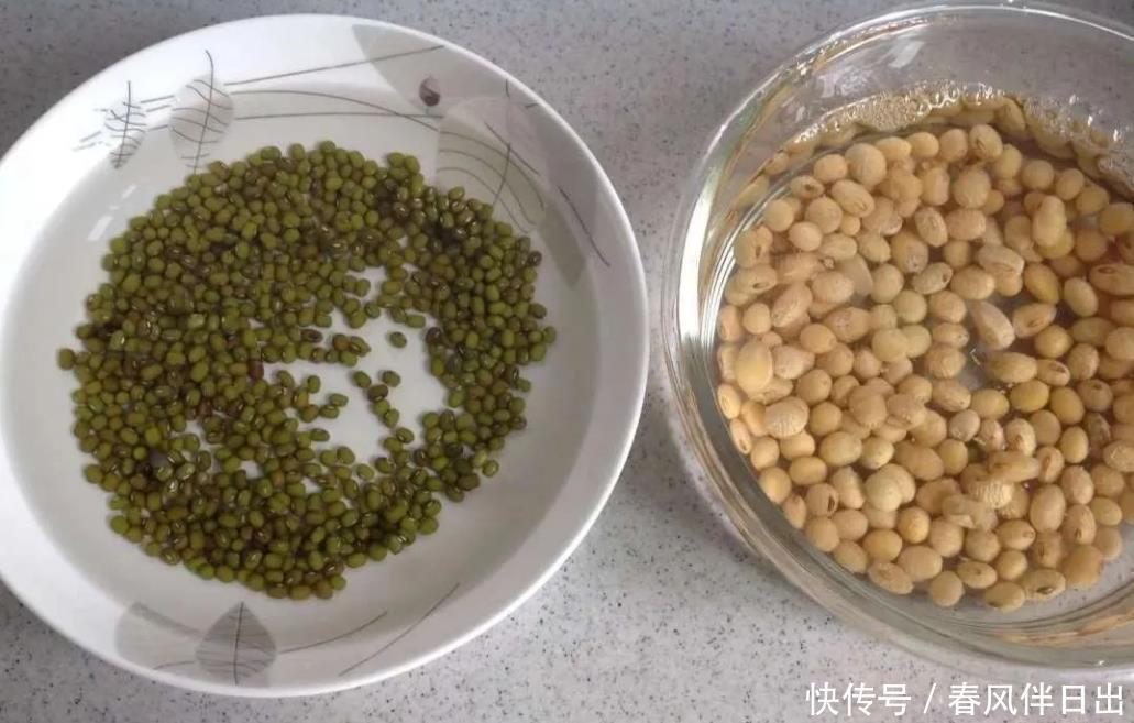 冬天也能快速收获的蔬菜,放在阳光下喷点水,七天就能吃一次