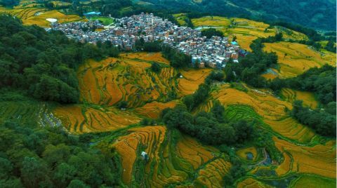 千年古梯田焕发新生机 《人民日报》关注云南红河多策并举力促哈尼梯田永续利用