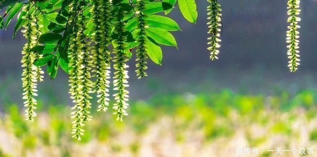 酬张少府|20首传诵千古的诗词,全是顶级名篇,每一首都值得背下来