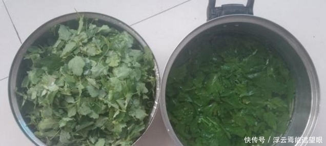 农村荒地生长的野菜,功效强悍,补钙、除口臭,你吃过吗?
