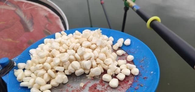 大师是这样用玉米钓鱼的,以及老坛玉米的制作方法