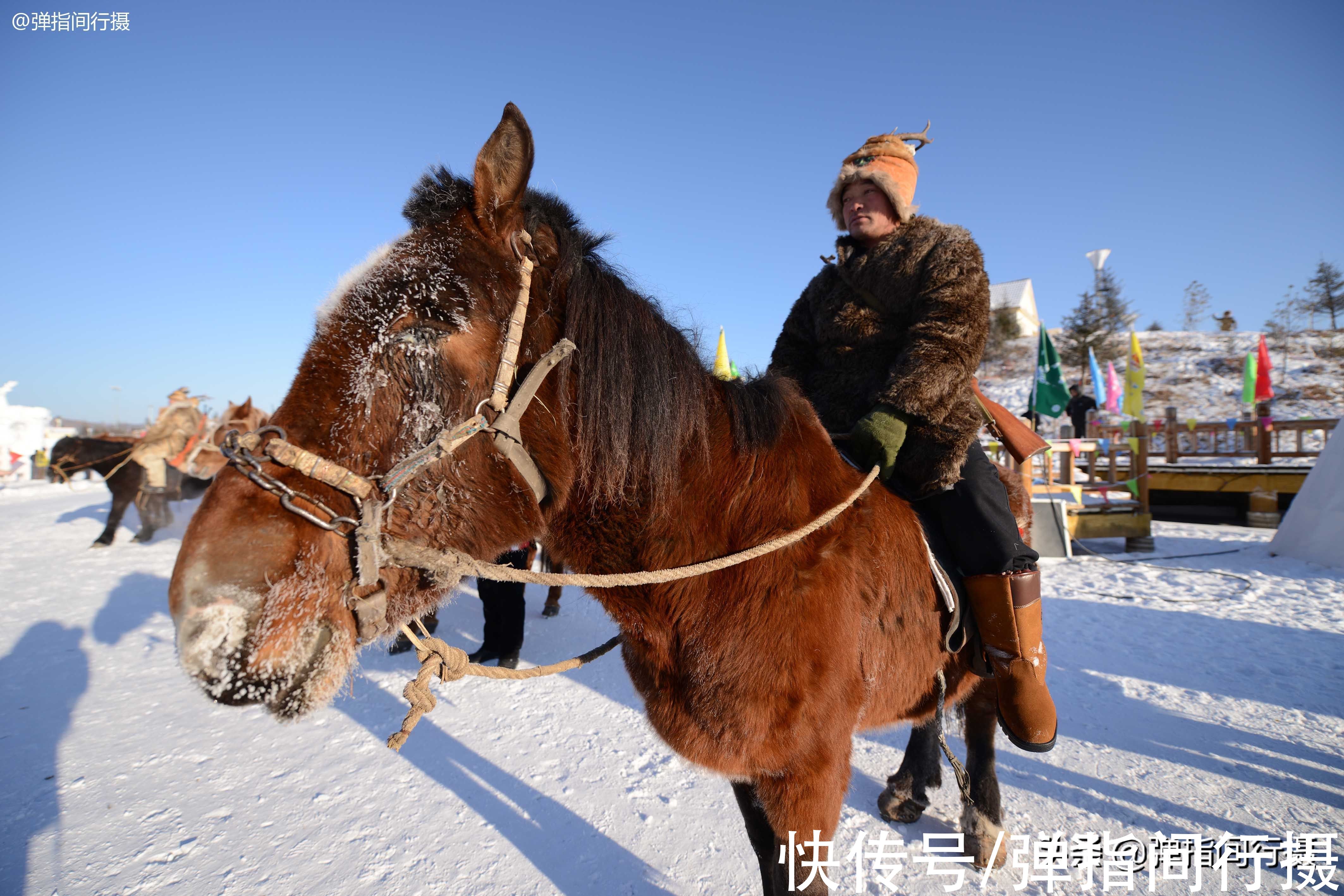 驯鹿|大兴安岭深处的少数民族，全国仅9000余人，以前被称为“森林人”