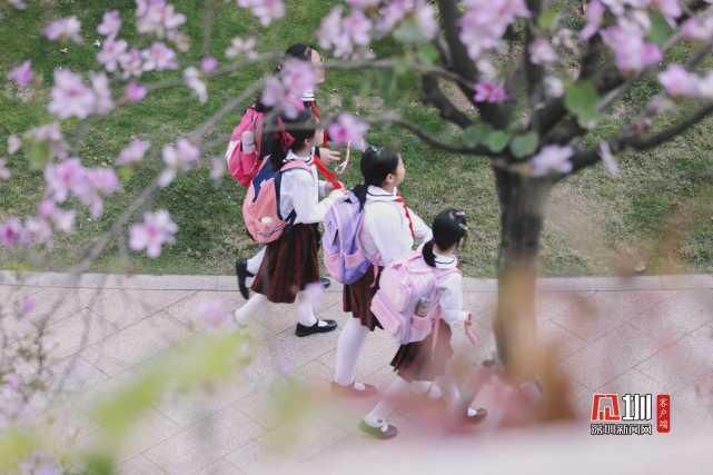 繁花绽放装点光明 一步走进春天里