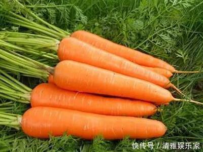 中年|胡萝卜号称“小人参”,必须要过油炒吗?错了,蒸着吃对身体更好