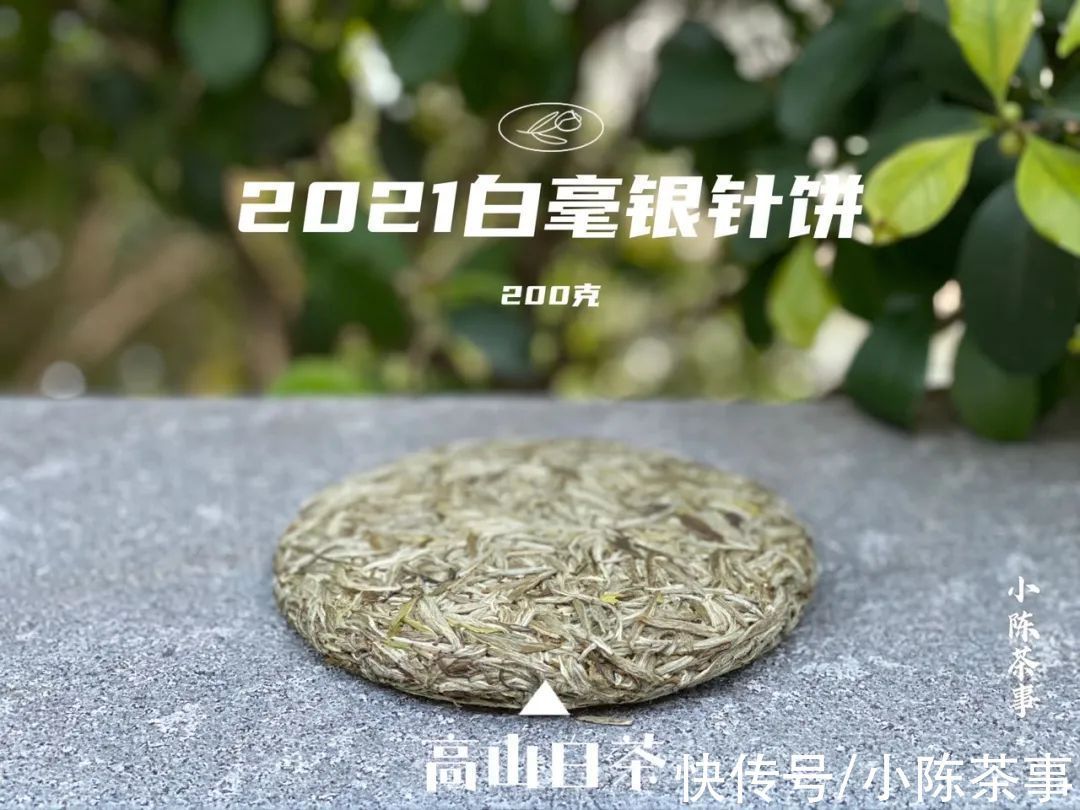 叶底香|毫香、花香、竹叶香,这些香气怎么没在白毫银针开箱的时候闻到?