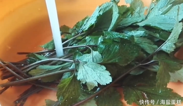 這草長得平凡卻有大價值，既食用還是好藥材，市面得20元一斤