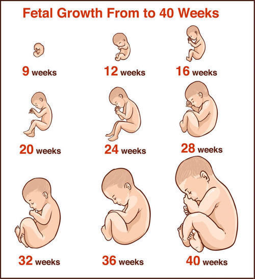 一日三餐|孕晚期胎儿进入体重猛涨期，孕妈除了补营养，这6方面也不能大意