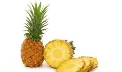 纤维蛋白|常见的健脑食物