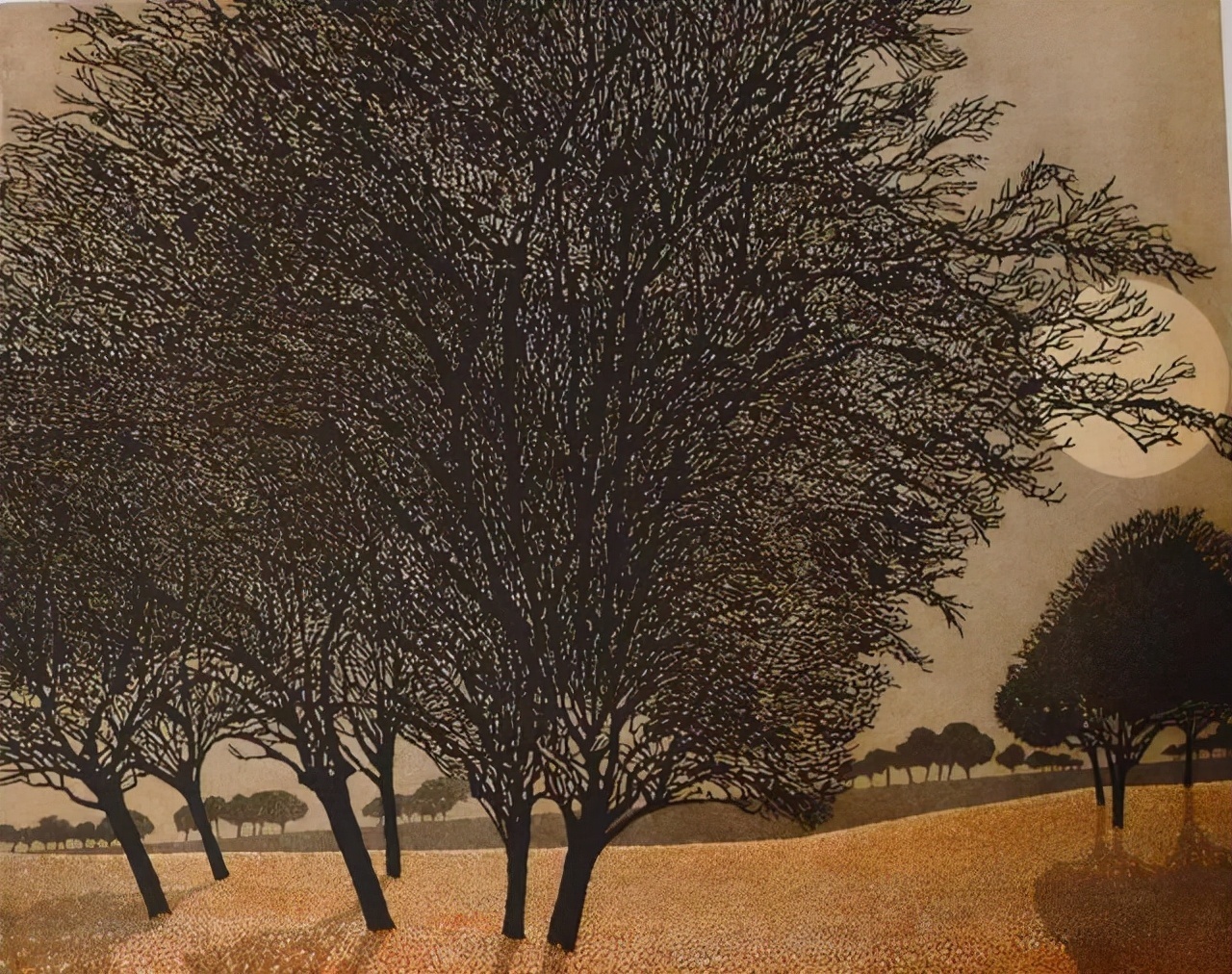 插画师&英国插画师Phil Greenwood的插画,给家里带来一丝文艺田园气息