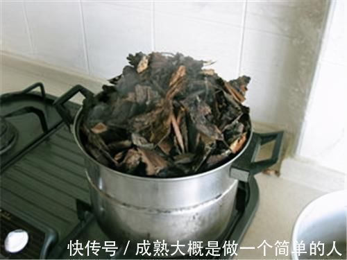 冬天|冬天养虎皮兰,土里埋点“生长素”,一到春天爆新芽