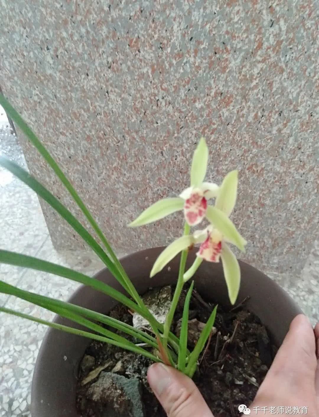 天道|从史记人物伯夷和叔齐看“天道是非”