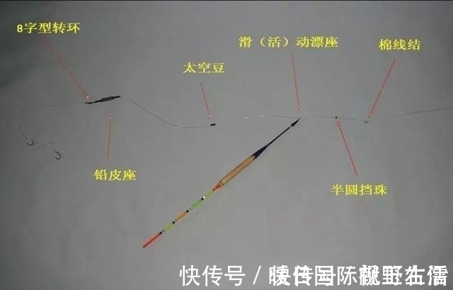 野钓|野钓鲫鱼,别人连杆不断你却不上鱼,有可能是这三个原因导致的
