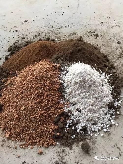 养花的旧土别扔，一招巧变新土，肥沃透气，花儿蹭蹭长！