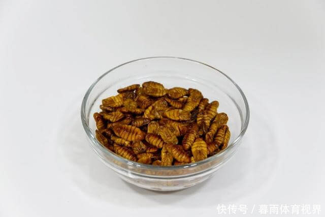  受不了|东北餐桌上常见的食物，南方人看了受不了，北方人真香！