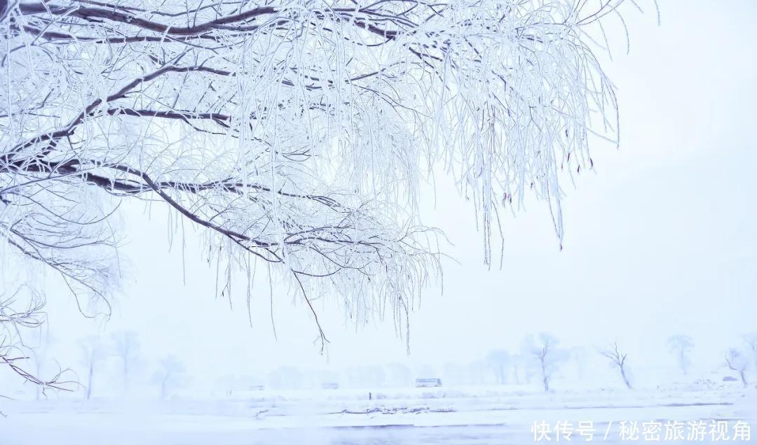 雾凇|一路向北，去中国最美的地方看冰花雾凇，逛梦幻雪乡！