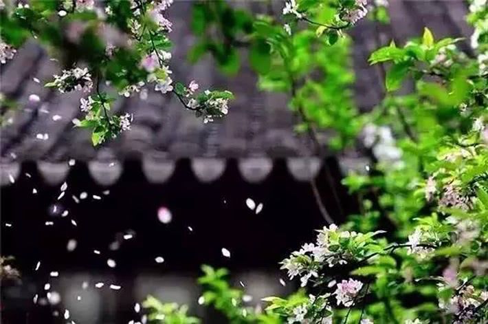 诗词|诗词:荷园依旧又熏风，飘飘路杳斜晖倦