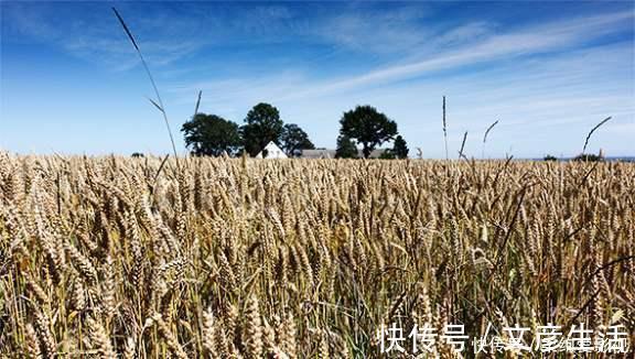 心血管疾病|营养师：长寿的人，通常都喜欢吃这4种食物，可惜太多人一口不吃