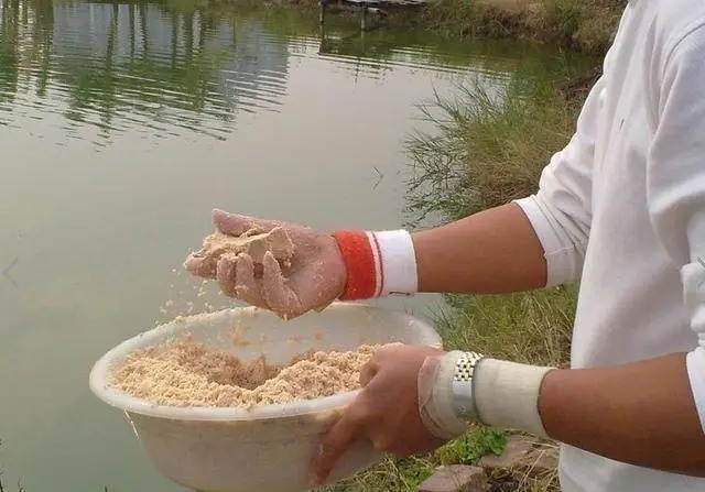 溶氧量|野钓鲫鱼难上钩？教你一个简单小窍门，一钓一个准想不爆护都很难