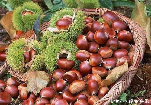 赘肉|女性到了中年推荐常吃4种食物,美容养颜,排毒瘦身,甩掉小赘肉