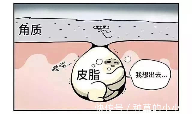 up|一些适合油皮混合皮的洗面奶,up主心里No.1居然是它。