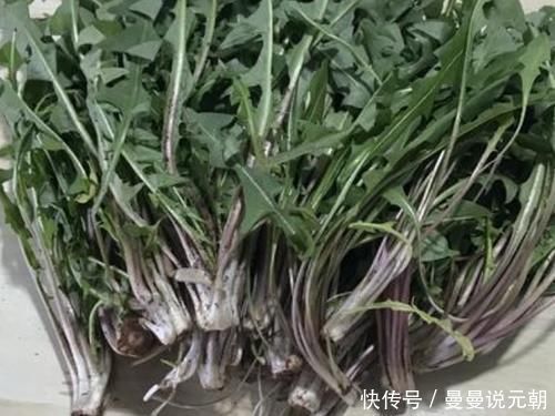 强肝剂|天然的“强肝剂”找到了,坚持每天吃,养肝排毒,肝脏越来越好