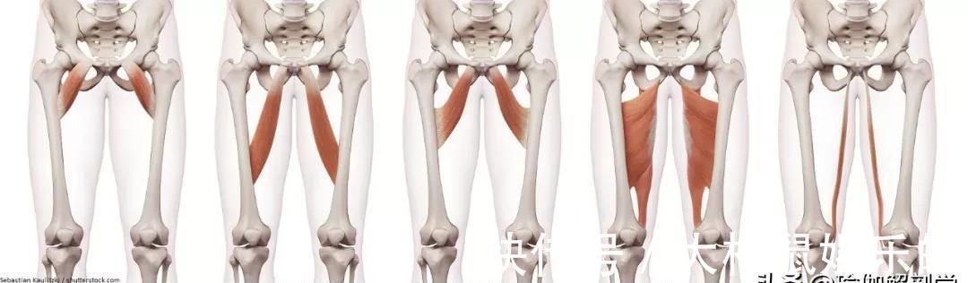 双腿|练瑜伽，女生一定要多练内收肌，真的很重要