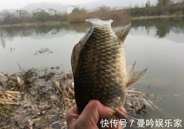 只用2种材料泡制的钓鱼药酒！钓鲫鱼效果显著，用法用量都在这