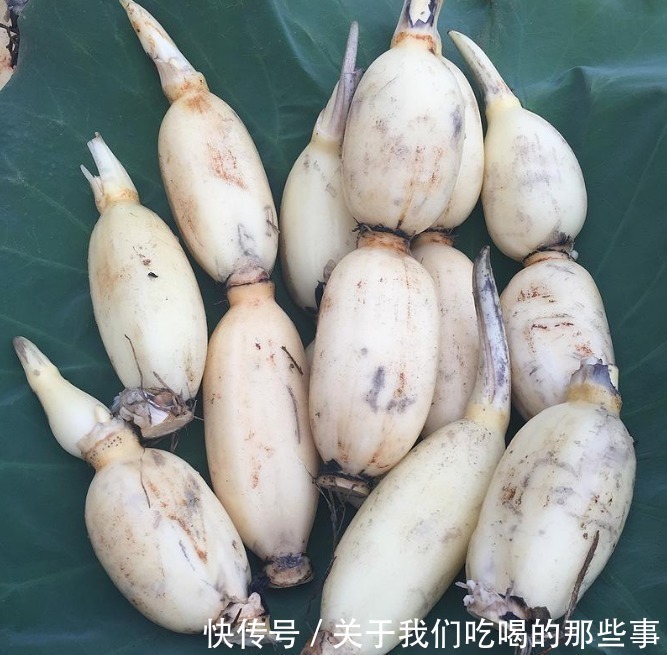 买莲藕,七孔九孔莲藕哪个好?挖藕工:口感差很多,选错了不好吃