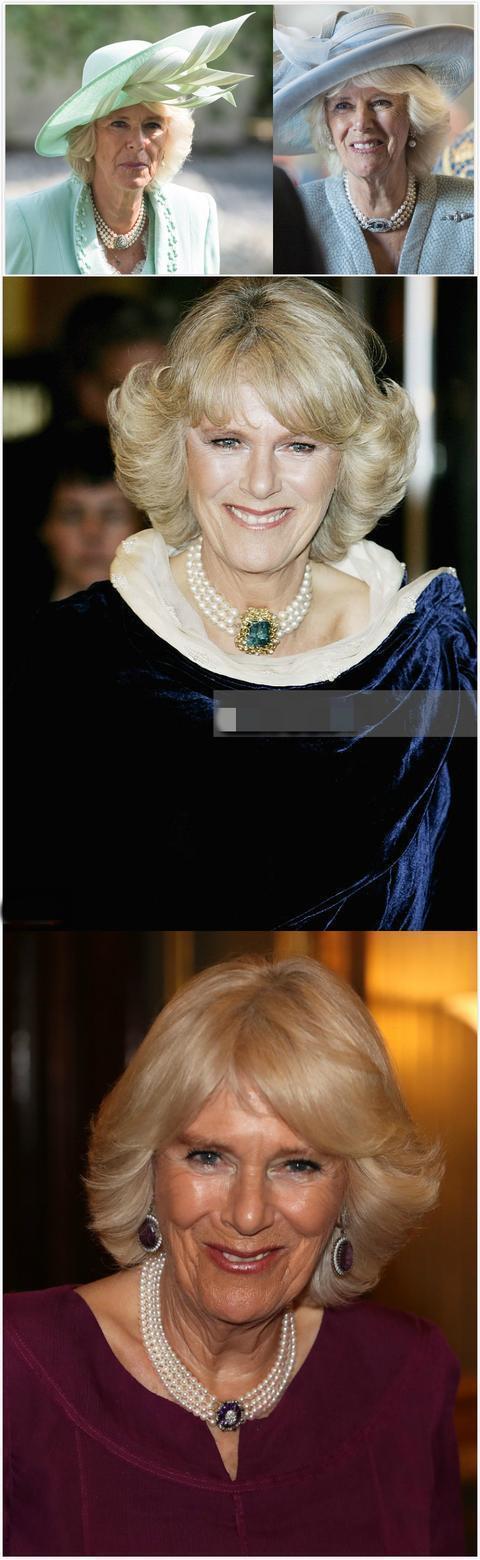 戴安娜 戴安娜戴过的珠宝,除了留给卡米拉秀尊贵外,还被39岁梅根盯上