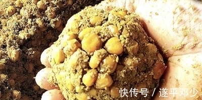 大鱼进窝的征兆你要懂，你若懂了离钓到大鱼就不远了！