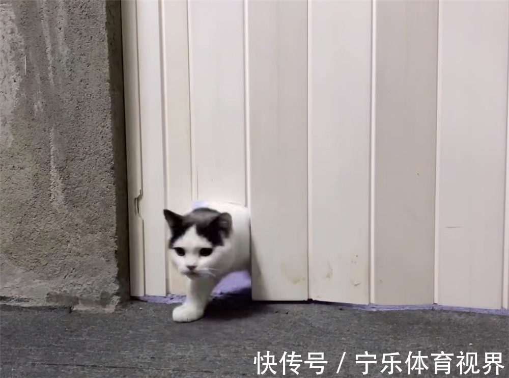 装修|东北小夫妻住了3年毛坯房,简不简陋不清楚,但是家居用品真全乎