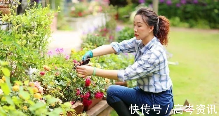 小区|坐拥270㎡大院子,她如何用五年时间,打造成了全小区最美的花园