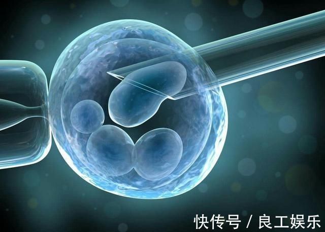 出生缺陷|试管婴儿寿命不过40,智商低,易患癌?这些说法可信吗?