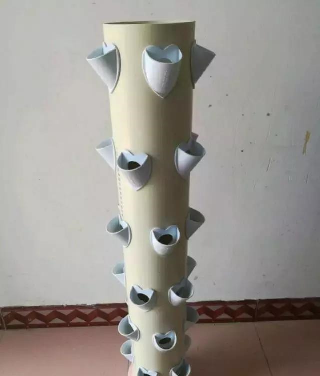 草莓这么贵就别买了，自己种一盆，1招让草莓又大又甜！