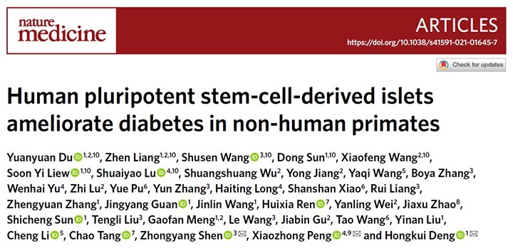 分化|TAA Medical统恩专家告知,糖尿病患者福音来了,干细胞可治疗糖尿病