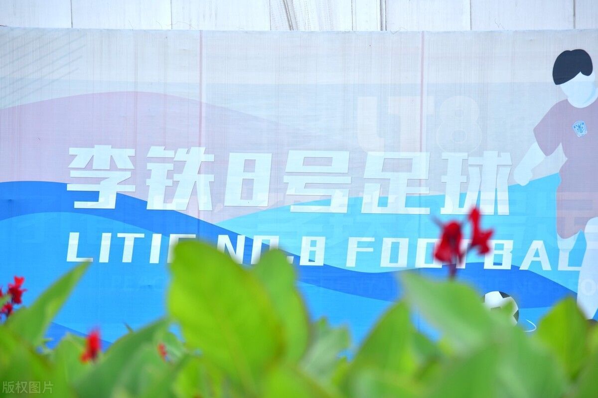 主帅|太心寒了!国足主帅李铁雕像遭泼油漆,疑似球迷泄愤不满12强输球