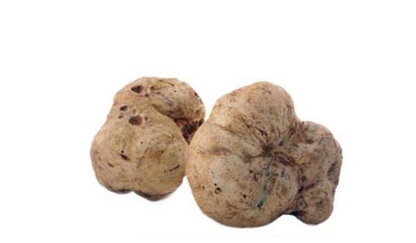 白松露|名贵食材白松露 900克身价10万欧元