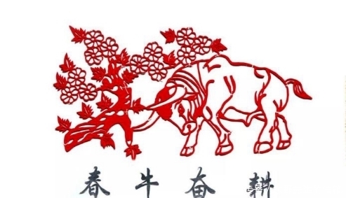 涨知识:牛为什么“牛”,话说农耕中的牛