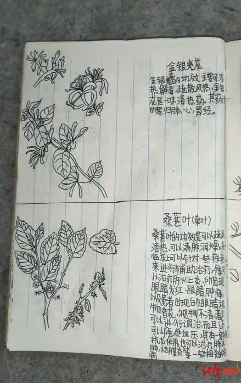 拍摄者|13岁男孩期末没考好，书包里被翻出一本手绘中草药图