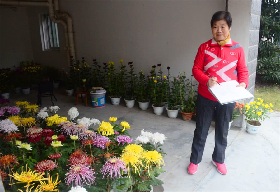 刘奶奶养花从不买营养土,这三种废弃物掺一掺,没有养不旺的花!