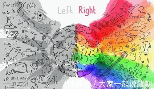 帮娃|哈佛研究:宝宝大脑发育高峰期一生有三次,请务必帮娃抓住一次